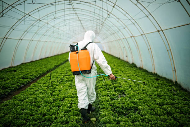 Best Local Pest Control Services  in Zion, IL