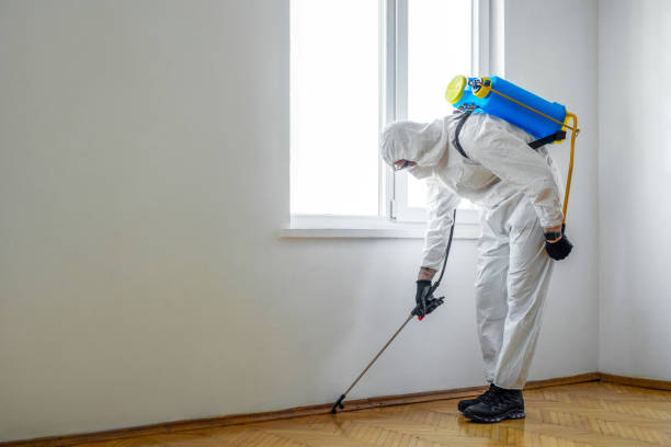 Best Emergency Pest Control  in Zion, IL