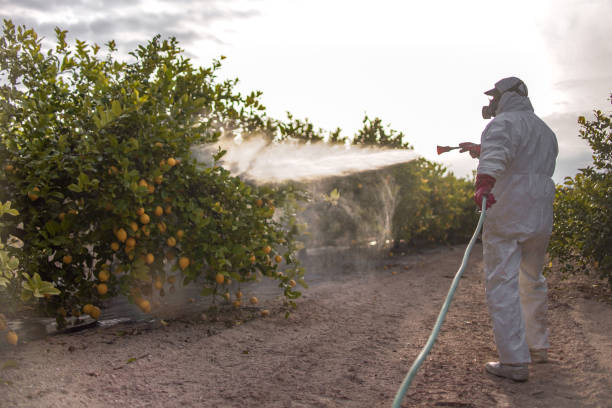 Best Mosquito Control Services  in Zion, IL