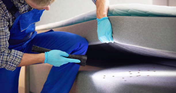 Best Flea Control Services  in Zion, IL