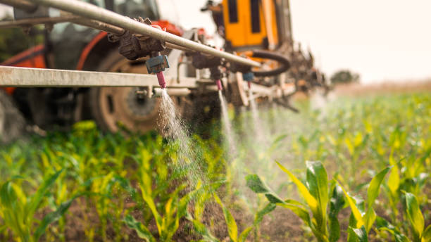 Best Wildlife Control Services  in Zion, IL