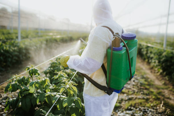 Best Wasp Removal Services  in Zion, IL